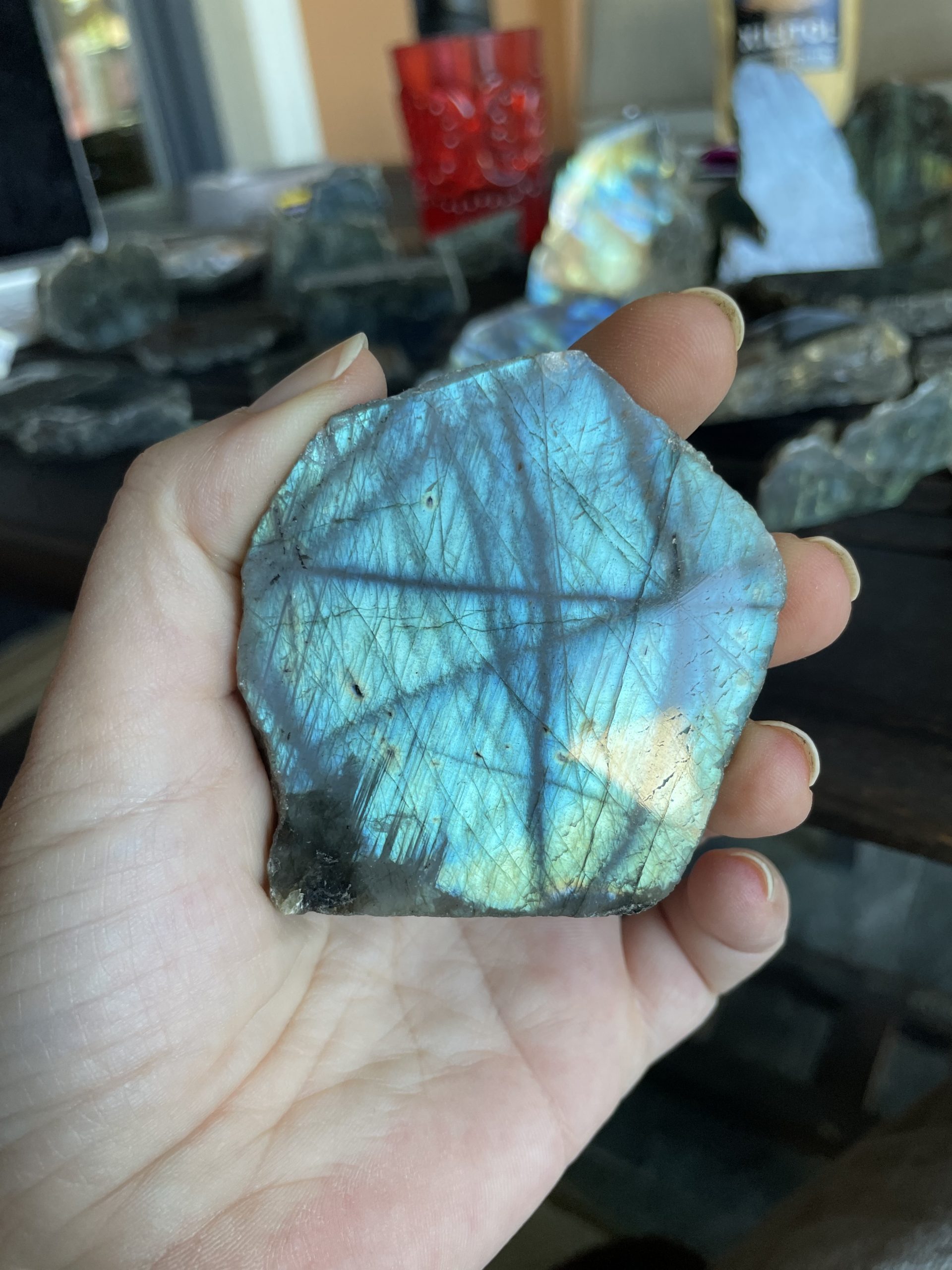 F24A97BA-0A22-4B2C-977D-E0321639D5C1